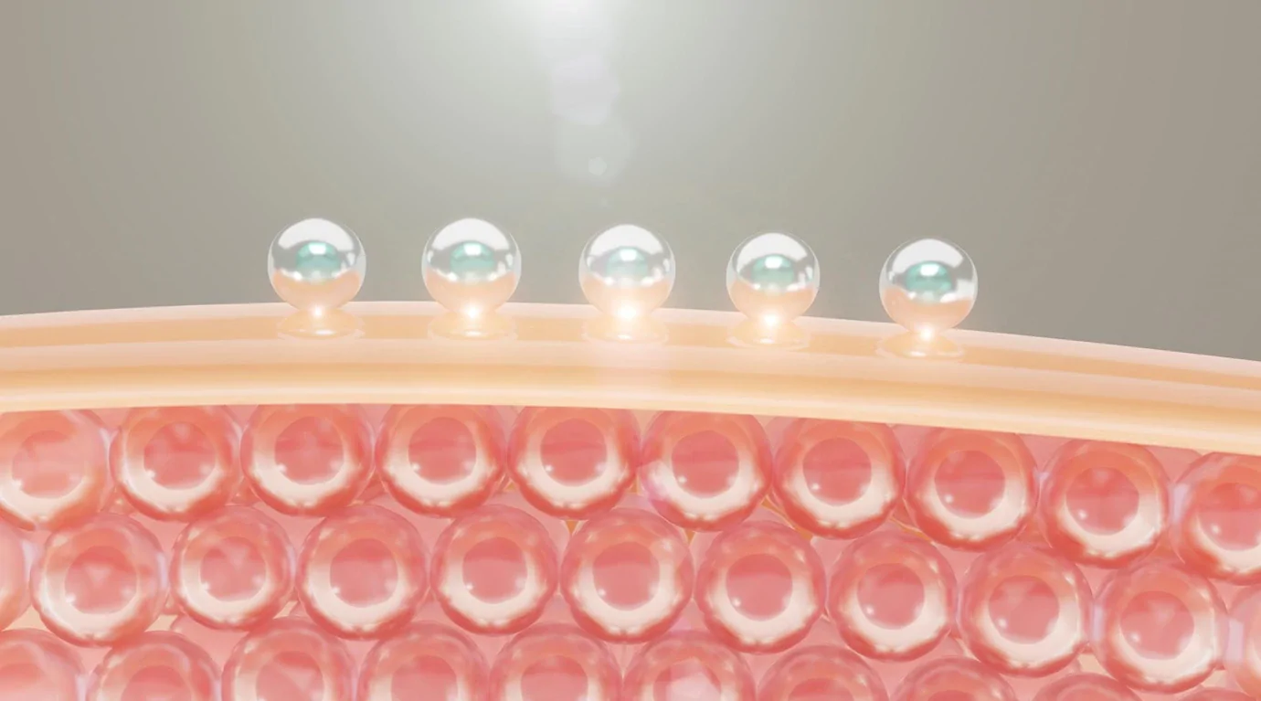 โรงงานผลิตคอลลาเจน