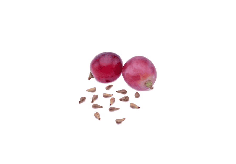 Grape seed extract